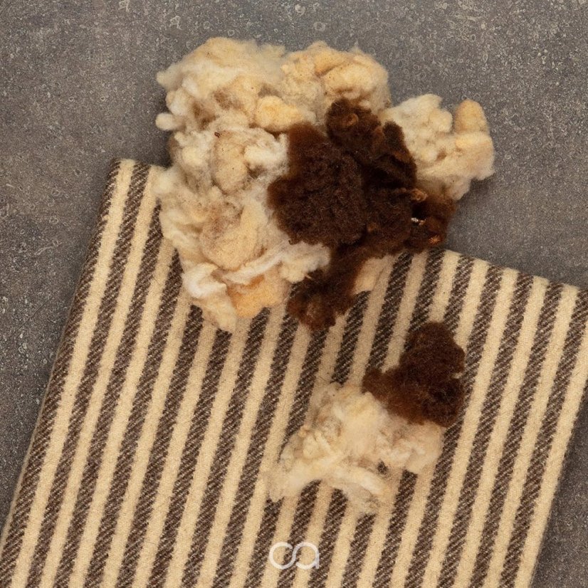 Čistá ovčí vlna Burel I 800 g/m2 - Barva: Přírodní